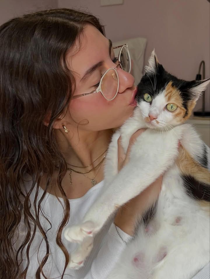 Kitten visitor moment